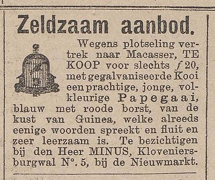 Kloveniersburgwal 05 1890 Verkoop papagaai Het nieuws van den dag 25-10-1890